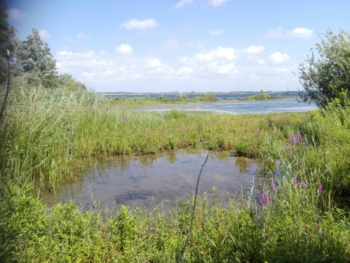 Villa Klepperstee Esdoorn 3 Ouddorp Esterno foto